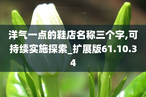 洋气一点的鞋店名称三个字,可持续实施探索_扩展版61.10.34