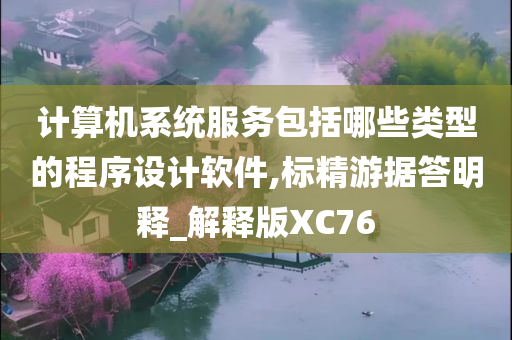 计算机系统服务包括哪些类型的程序设计软件,标精游据答明释_解释版XC76