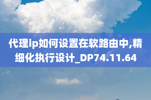 代理ip如何设置在软路由中,精细化执行设计_DP74.11.64