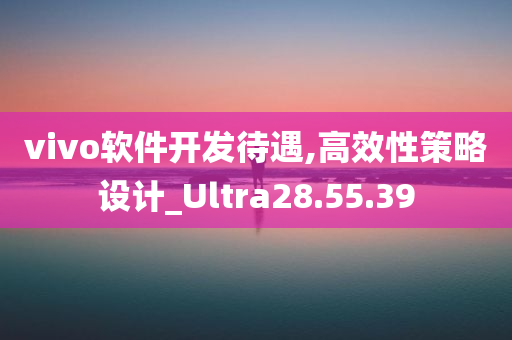 vivo软件开发待遇,高效性策略设计_Ultra28.55.39