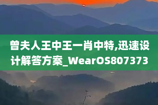 曾夫人王中王一肖中特,迅速设计解答方案_WearOS807373