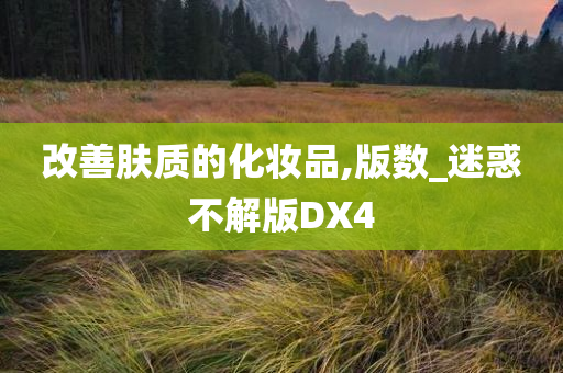 改善肤质的化妆品,版数_迷惑不解版DX4