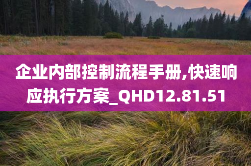 企业内部控制流程手册,快速响应执行方案_QHD12.81.51