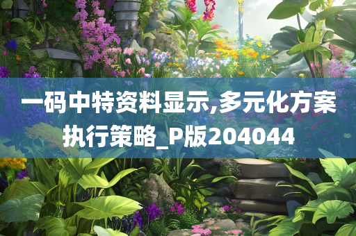 一码中特资料显示,多元化方案执行策略_P版204044