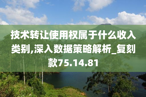 技术转让使用权属于什么收入类别,深入数据策略解析_复刻款75.14.81