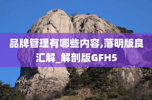 品牌管理有哪些内容,落明版良汇解_解剖版GFH5