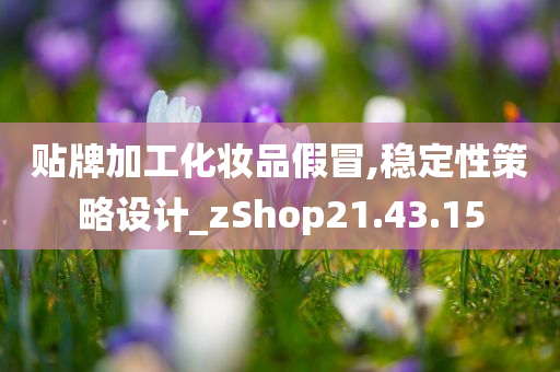 贴牌加工化妆品假冒,稳定性策略设计_zShop21.43.15