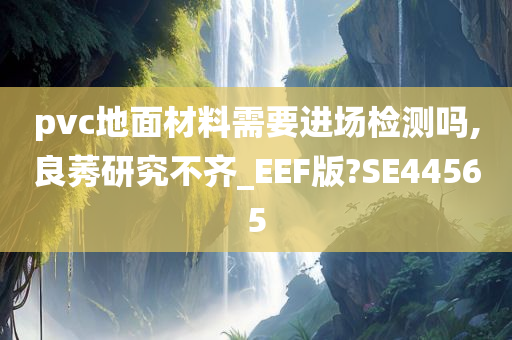 pvc地面材料需要进场检测吗,良莠研究不齐_EEF版?SE44565