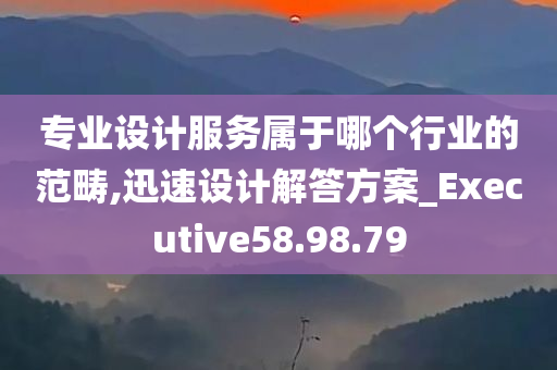 专业设计服务属于哪个行业的范畴,迅速设计解答方案_Executive58.98.79