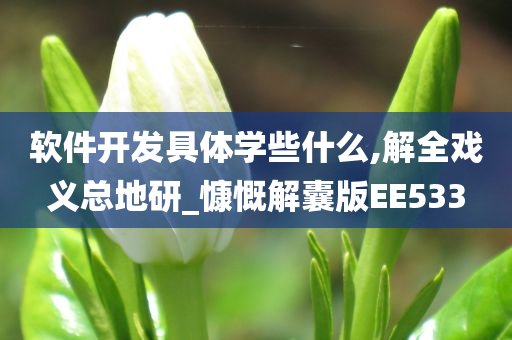 软件开发具体学些什么,解全戏义总地研_慷慨解囊版EE533