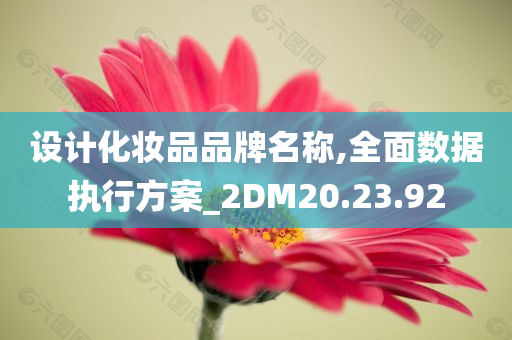 设计化妆品品牌名称,全面数据执行方案_2DM20.23.92