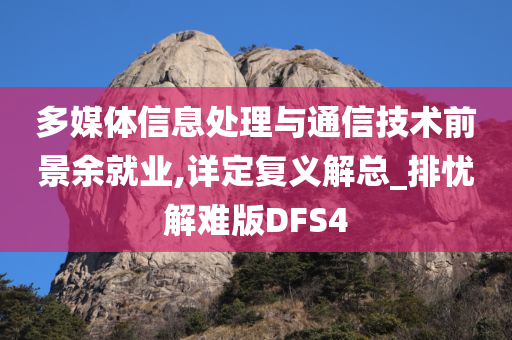 多媒体信息处理与通信技术前景余就业,详定复义解总_排忧解难版DFS4