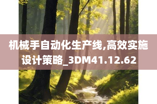 机械手自动化生产线,高效实施设计策略_3DM41.12.62