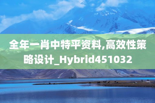 全年一肖中特平资料,高效性策略设计_Hybrid451032