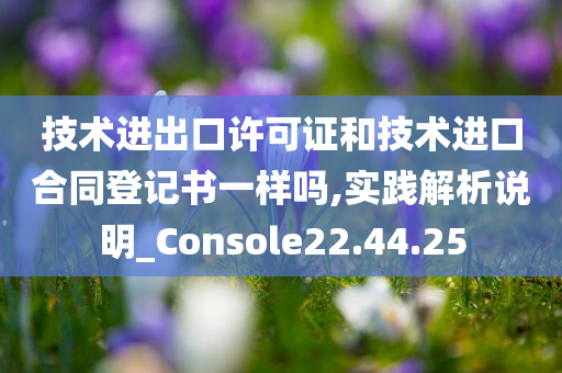 技术进出口许可证和技术进口合同登记书一样吗,实践解析说明_Console22.44.25