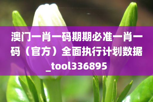 澳门一肖一码期期必准一肖一码（官方）全面执行计划数据_tool336895