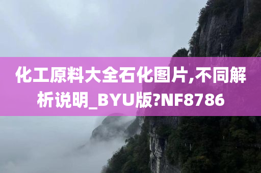 化工原料大全石化图片,不同解析说明_BYU版?NF8786