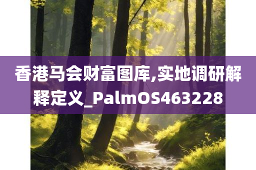 香港马会财富图库,实地调研解释定义_PalmOS463228