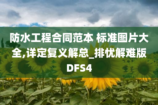 防水工程合同范本 标准图片大全,详定复义解总_排忧解难版DFS4