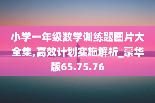 小学一年级数学训练题图片大全集,高效计划实施解析_豪华版65.75.76