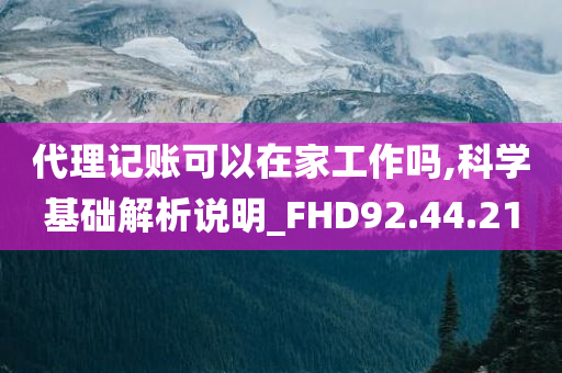 代理记账可以在家工作吗,科学基础解析说明_FHD92.44.21