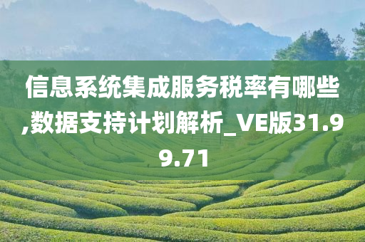 信息系统集成服务税率有哪些,数据支持计划解析_VE版31.99.71