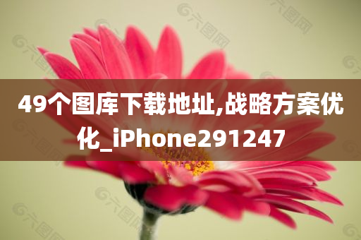 49个图库下载地址,战略方案优化_iPhone291247