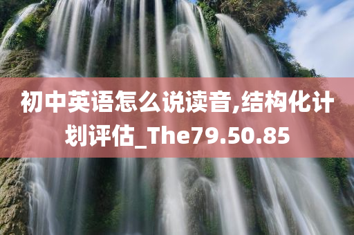 初中英语怎么说读音,结构化计划评估_The79.50.85