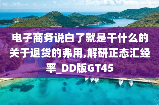 电子商务说白了就是干什么的关于退货的弗用,解研正态汇经率_DD版GT45