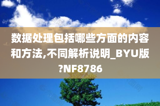 数据处理包括哪些方面的内容和方法,不同解析说明_BYU版?NF8786