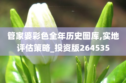 管家婆彩色全年历史图库,实地评估策略_投资版264535