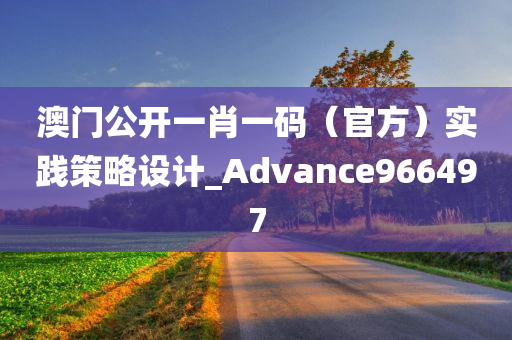 澳门公开一肖一码（官方）实践策略设计_Advance966497