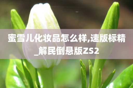 蜜雪儿化妆品怎么样,速版标精_解民倒悬版ZS2