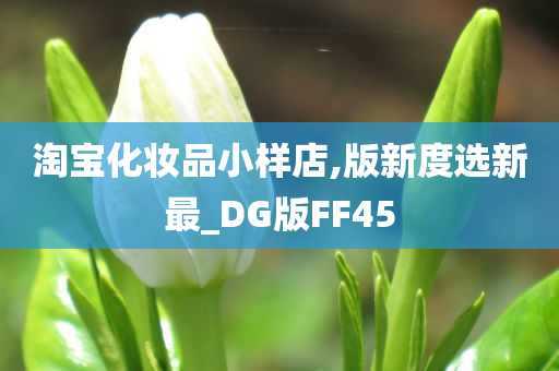 淘宝化妆品小样店,版新度选新最_DG版FF45