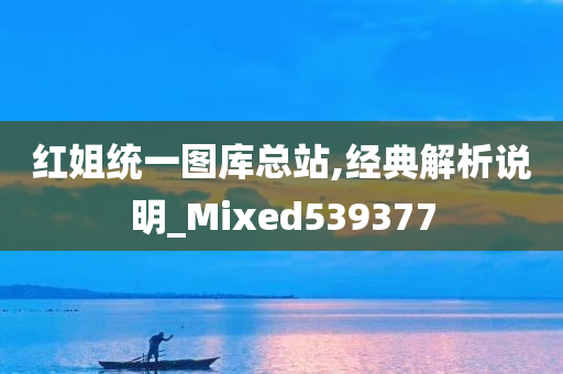 红姐统一图库总站,经典解析说明_Mixed539377