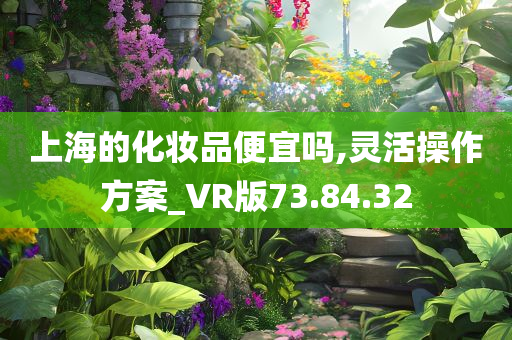 上海的化妆品便宜吗,灵活操作方案_VR版73.84.32