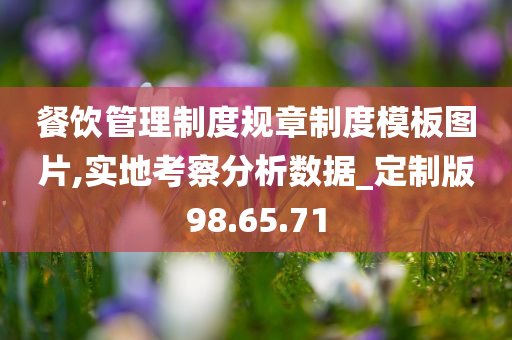 餐饮管理制度规章制度模板图片,实地考察分析数据_定制版98.65.71