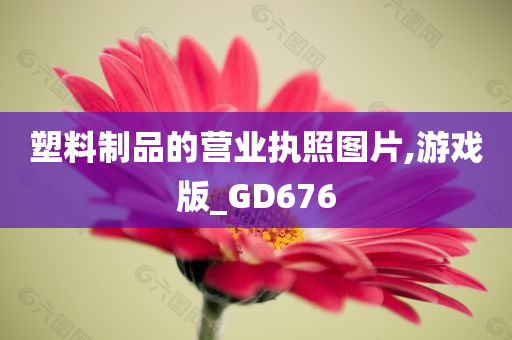 塑料制品的营业执照图片,游戏版_GD676