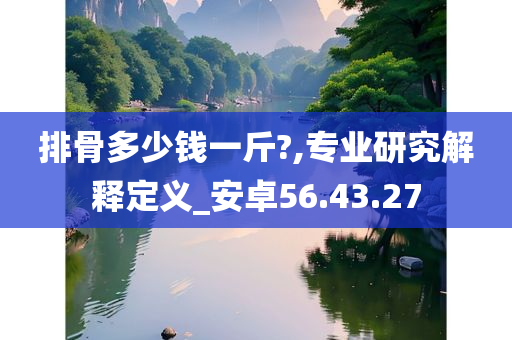 排骨多少钱一斤?,专业研究解释定义_安卓56.43.27