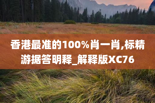 香港最准的100%肖一肖,标精游据答明释_解释版XC76