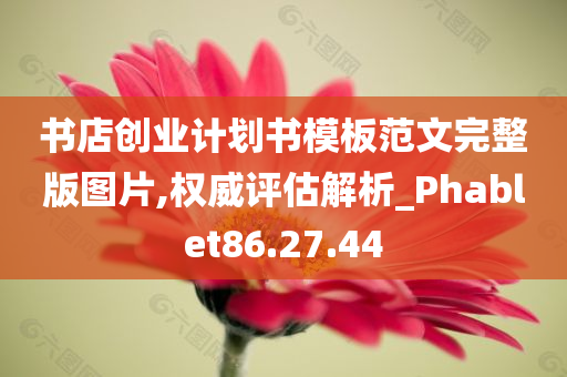 书店创业计划书模板范文完整版图片,权威评估解析_Phablet86.27.44