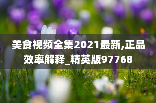 美食视频全集2021最新,正品效率解释_精英版97768