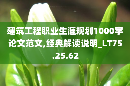 建筑工程职业生涯规划1000字论文范文,经典解读说明_LT75.25.62