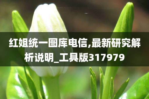 红姐统一图库电信,最新研究解析说明_工具版317979