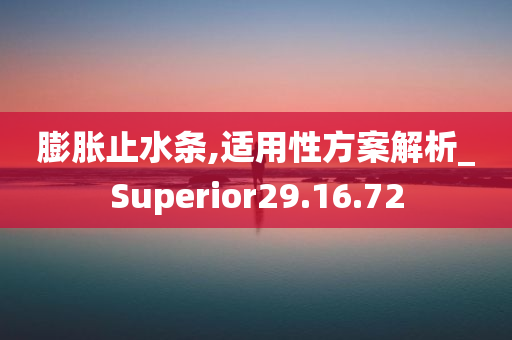 膨胀止水条,适用性方案解析_Superior29.16.72