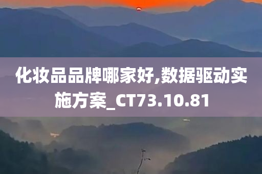 化妆品品牌哪家好,数据驱动实施方案_CT73.10.81