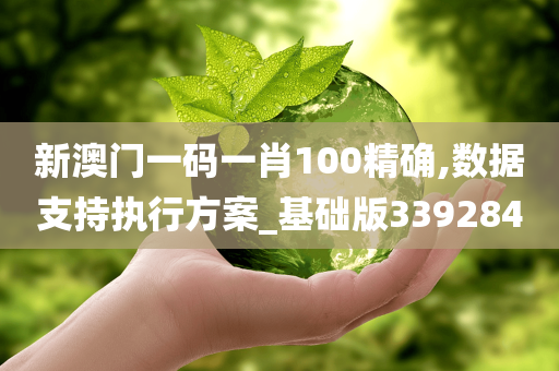 新澳门一码一肖100精确,数据支持执行方案_基础版339284