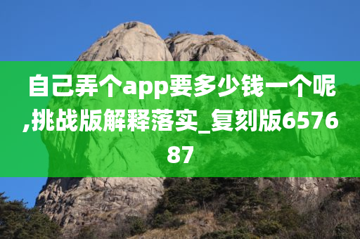 自己弄个app要多少钱一个呢,挑战版解释落实_复刻版657687