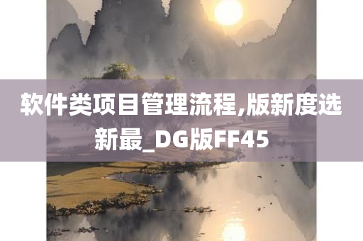 软件类项目管理流程,版新度选新最_DG版FF45