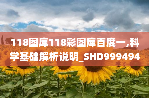 118图库118彩图库百度一,科学基础解析说明_SHD999494